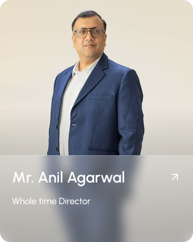Mr. Anil Agarwal